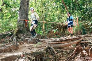 BIB: 
                            <button type="button" onclick="openModal(27717729)" class="btn btn-primary btn-sm float-right btn-popup" data-toggle="modal" data-target=".modal-high-quality">
                        <i class="fas fa-shopping-cart"></i> Add to Cart
                    </button>
                                            <button type="button" onclick="isThisMe(27717729, true)" class="btn btn-success btn-sm float-right btn-popup btn-isme hidden" data-toggle="tooltip" data-placement="bottom" title="นี่คือรูปของคุณใช่ไหม คลิกที่นี่เพื่อเอาเข้าอัลบั้ม">
                        <i class="fas fa-plus"></i> Add to album
                    </button>
                    <button type="button" onclick="isThisMe(27717729, false)" class="btn btn-warning btn-sm float-right btn-popup btn-isnotme hidden">
                        <i class="fas fa-ban"></i> Remove from album
                    </button>